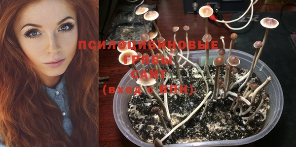 марки nbome Алзамай