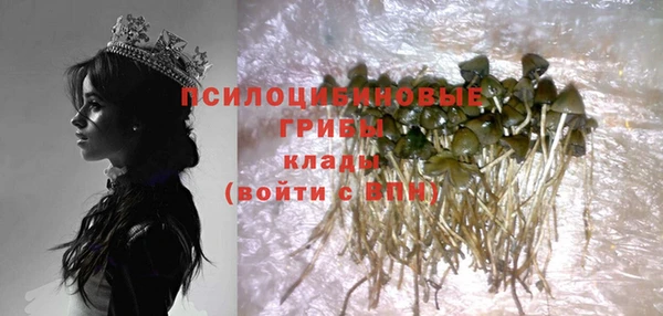 прущие крисы Алексин