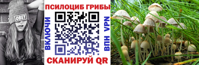 Галлюциногенные грибы ЛСД  продажа наркотиков  ссылка на мегу зеркало  Ивдель 
